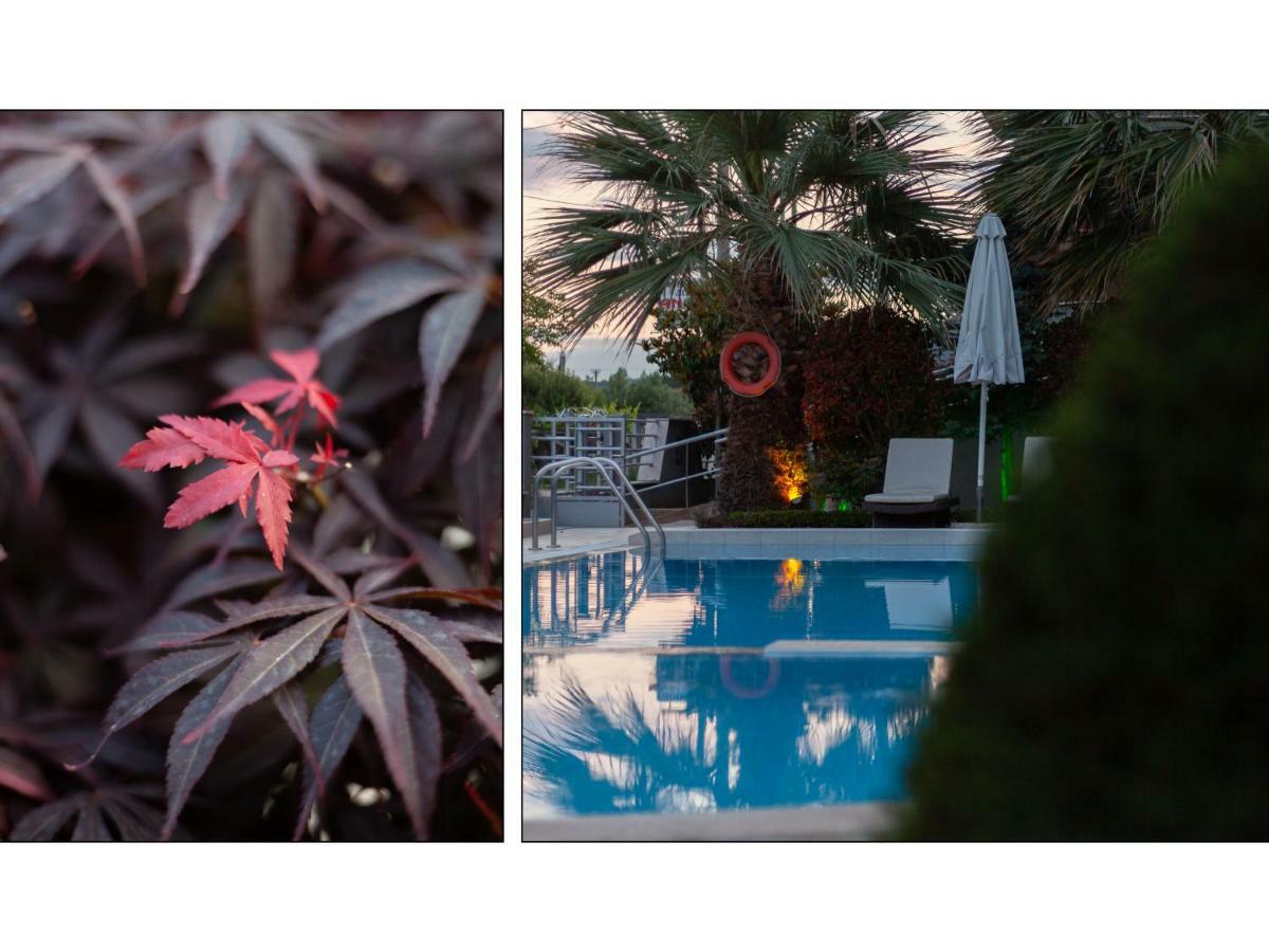Anthodi Hotel Sztavrósz Kültér fotó